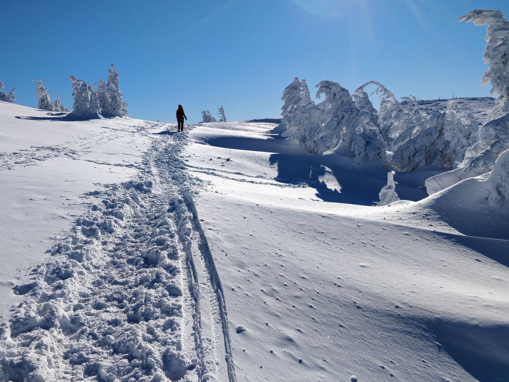 A Peak With Surprise: Vlădeasa, from Rogojel, in Winter Season (Jan 2022)