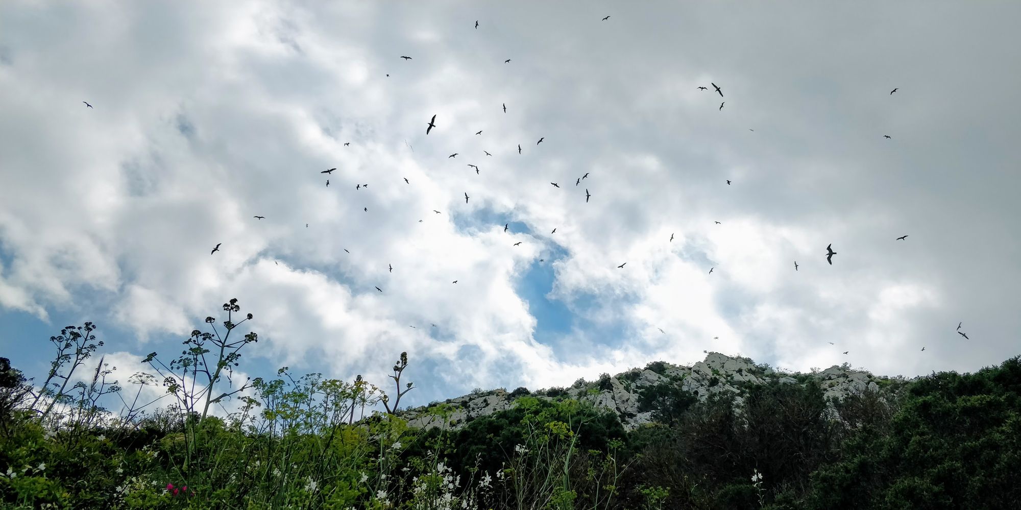 El Peñón de Ifach. Hiking Above Seagulls (Apr 2021)