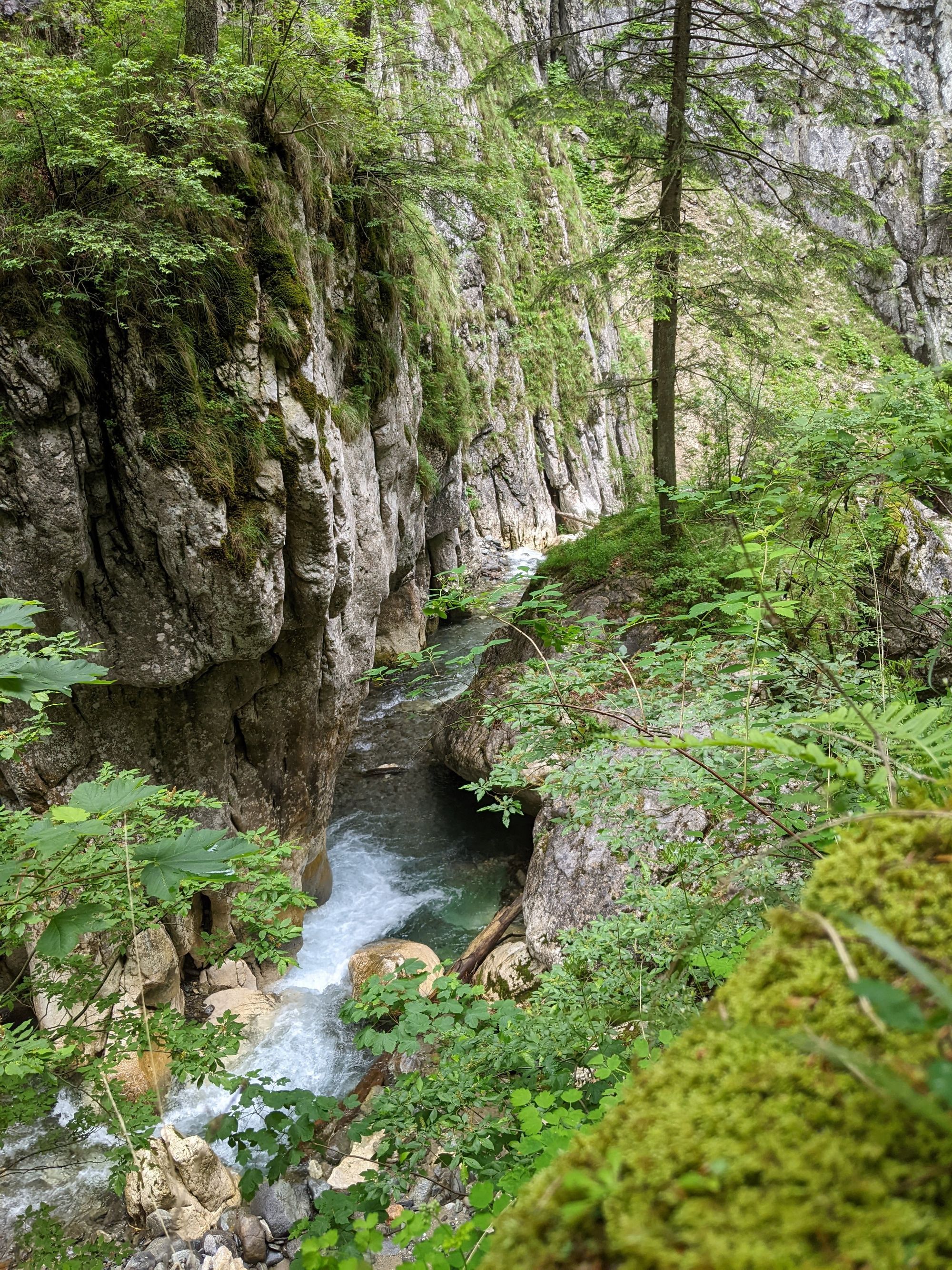 Buila Experience #1. Adventures in Romania's Smallest National Park - Jun 2022