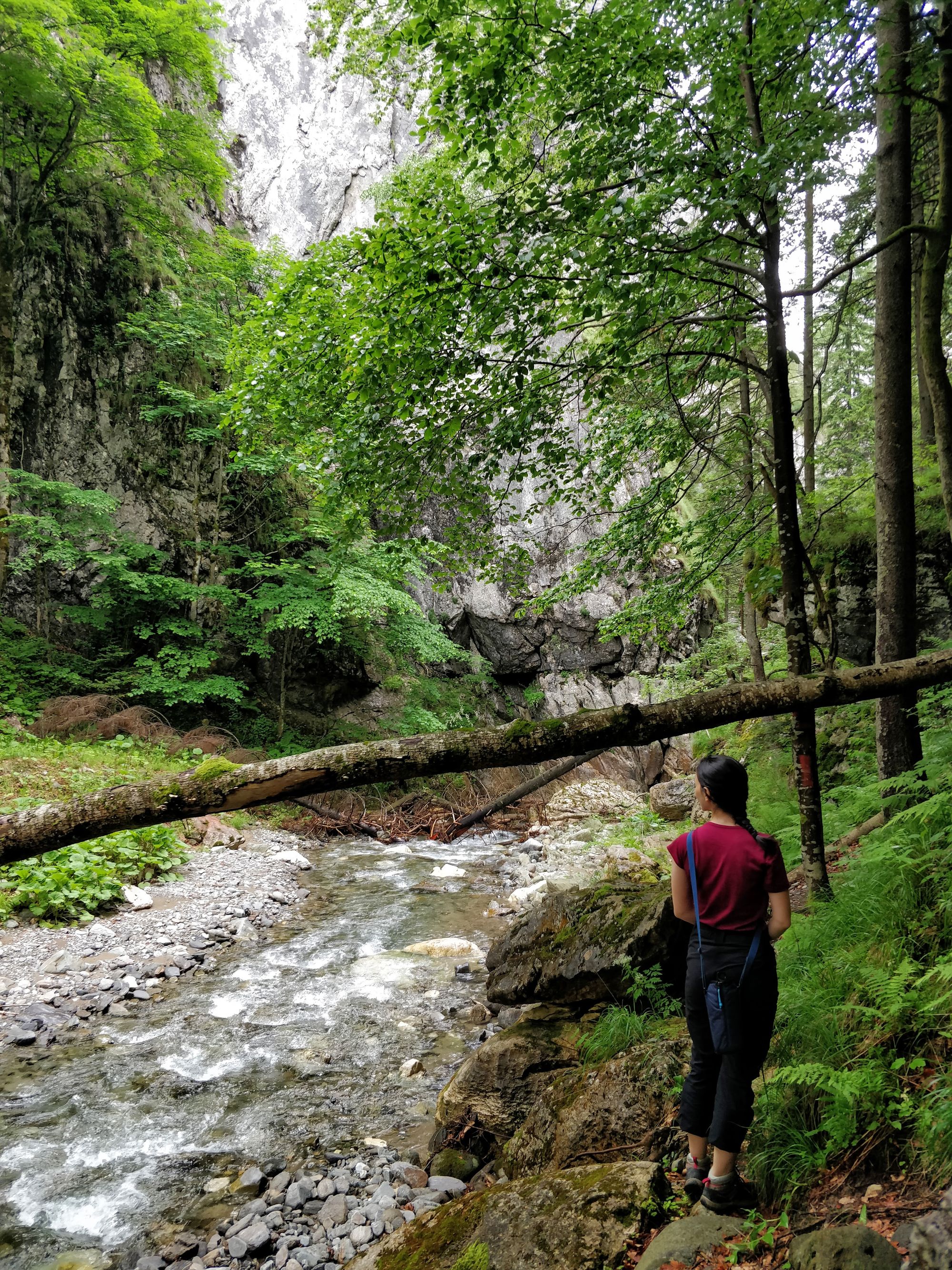 Experiența Buila #1. Aventuri în cel mai mic parc național din România - Jun 2022