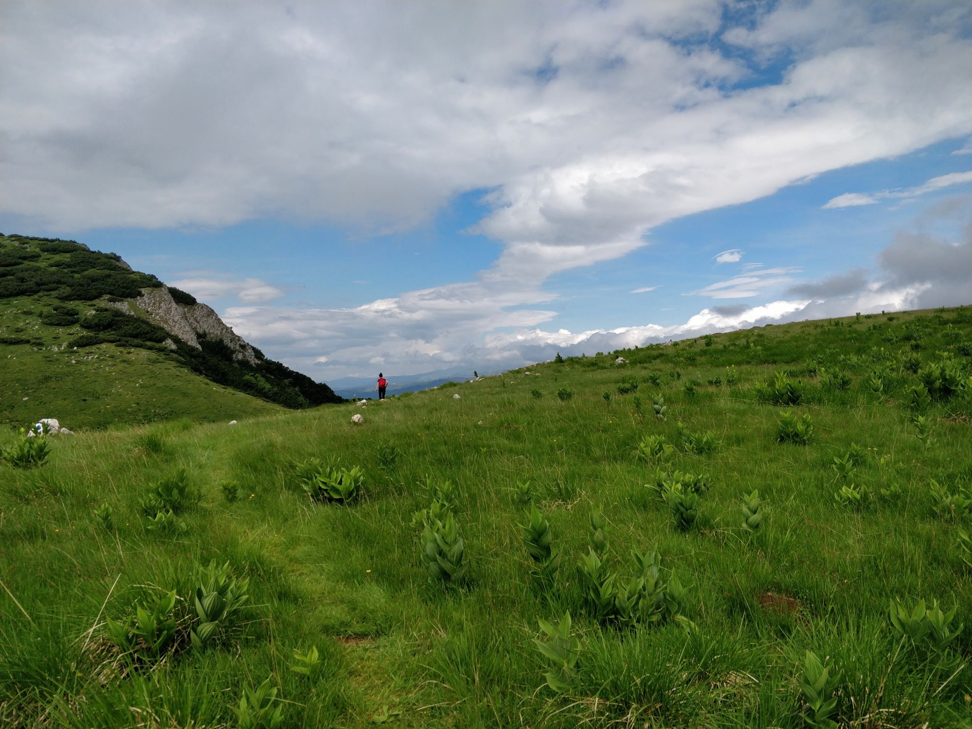 Buila Experience #2: Circuit on the Ridge. Pahomie Hermitage - Ștevioara Saddle - Buila Peak - Buila Saddle - Pătrunsa Hermitage - Pahomie Hermitage (Jun 2022)